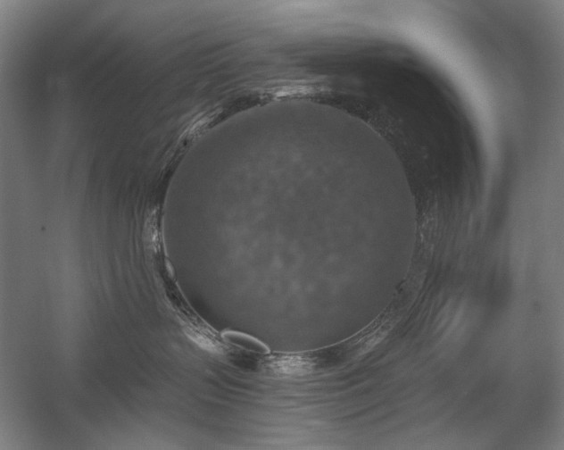 X0000058790383200509301147