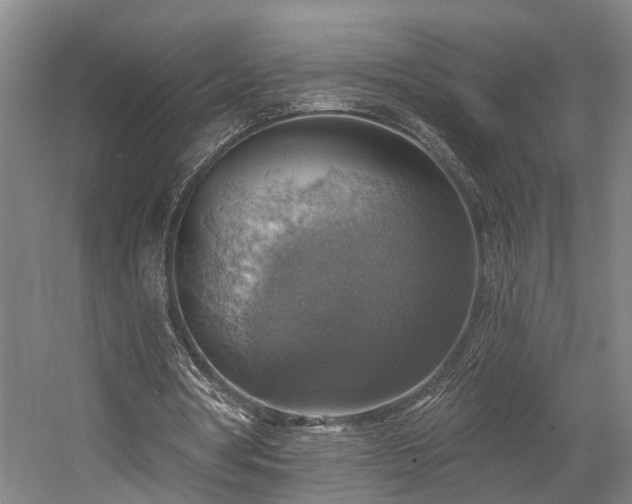 X0000058790386200509301146