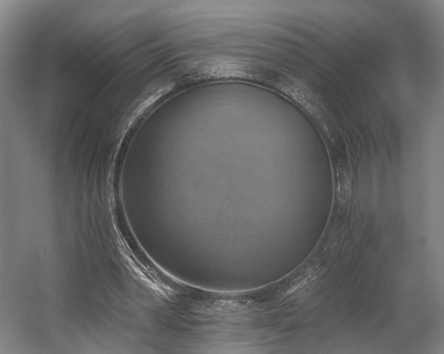 X0000058790390200509301146