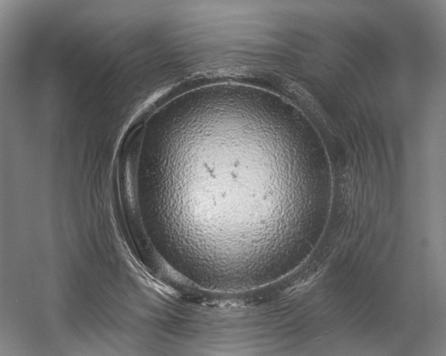 X0000058790395200509301146