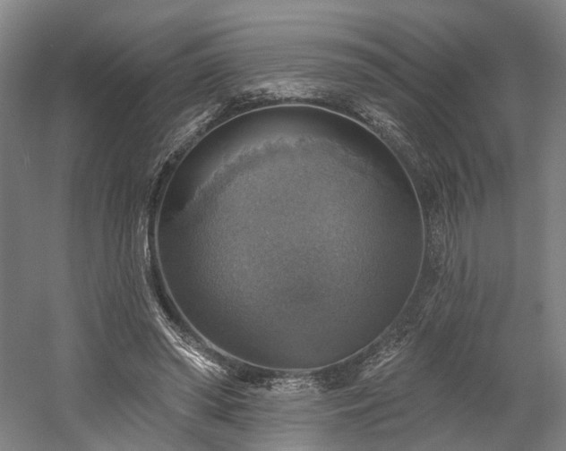 X0000058790398200509301146