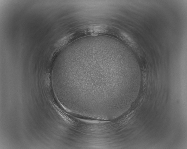 X0000058790401200509301146