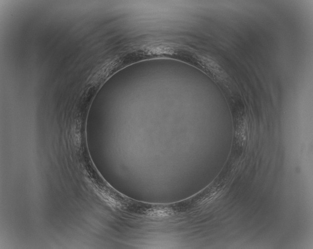 X0000058790402200509301146