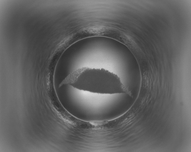 X0000058790404200509301146