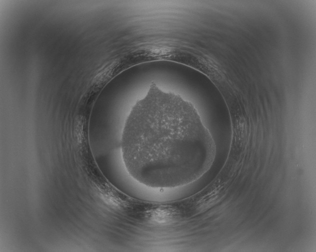 X0000058790412200509301146