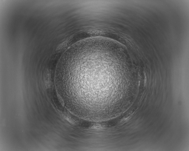 X0000058790416200509301146