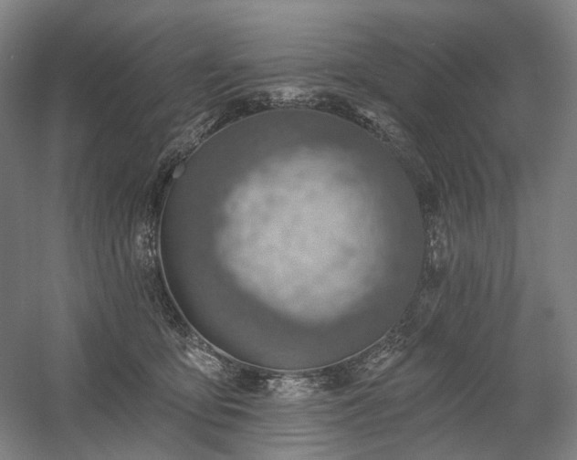 X0000058790419200509301146