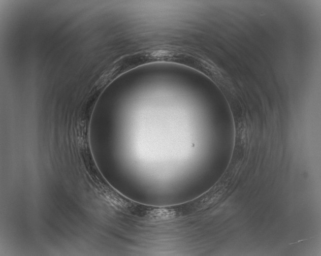 X0000058790421200509301146
