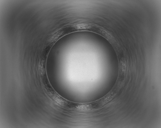 X0000058790422200509301146