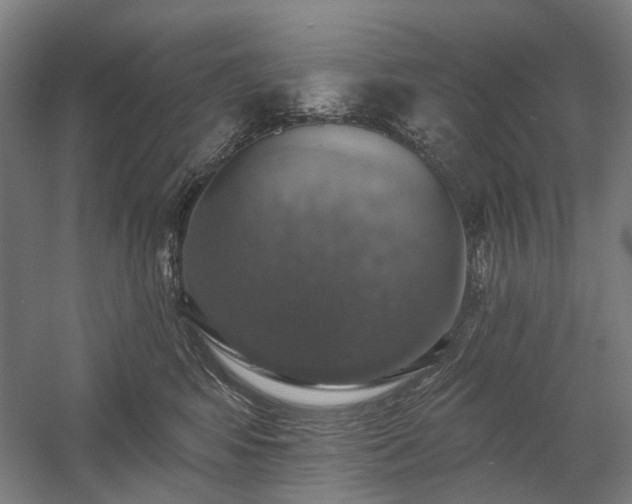 X0000058790424200509301146