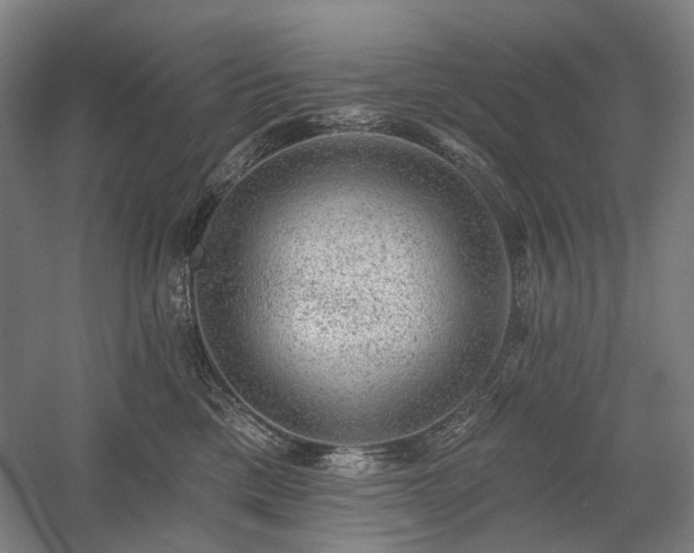 X0000058790425200509301146