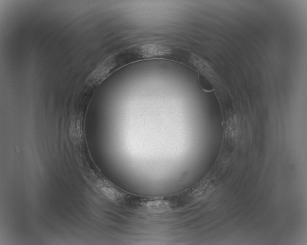 X0000058790426200509301146