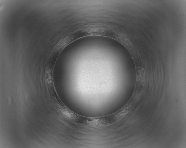 X0000058790430200509301146
