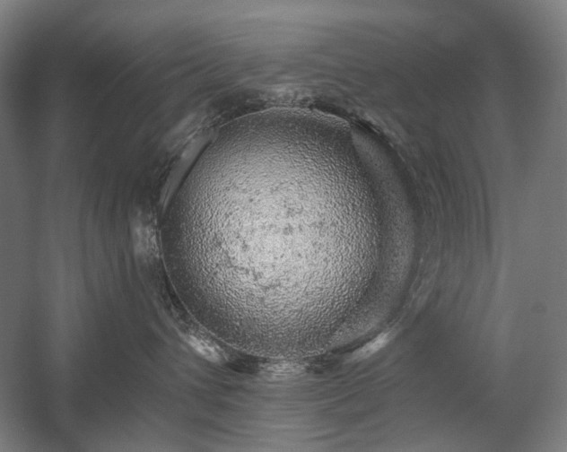 X0000058790432200509301146