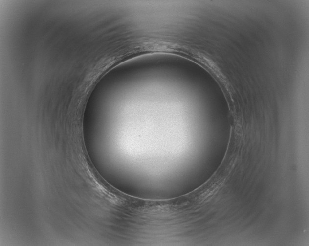 X0000058790433200509301145