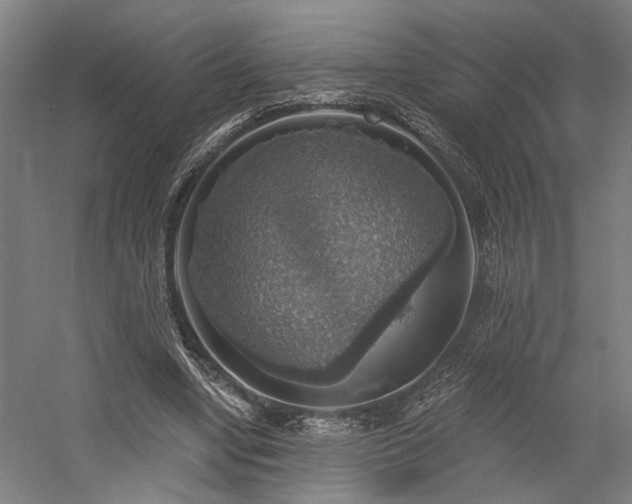 X0000058790442200509301145
