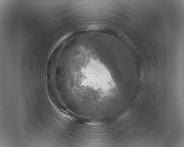 X0000058790444200509301145