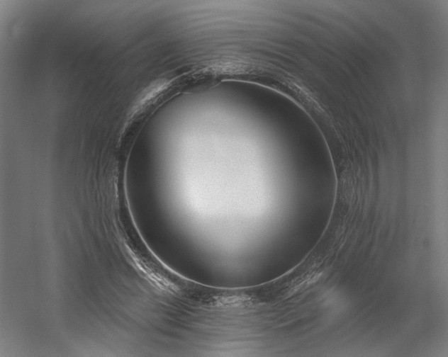 X0000058790446200509301145