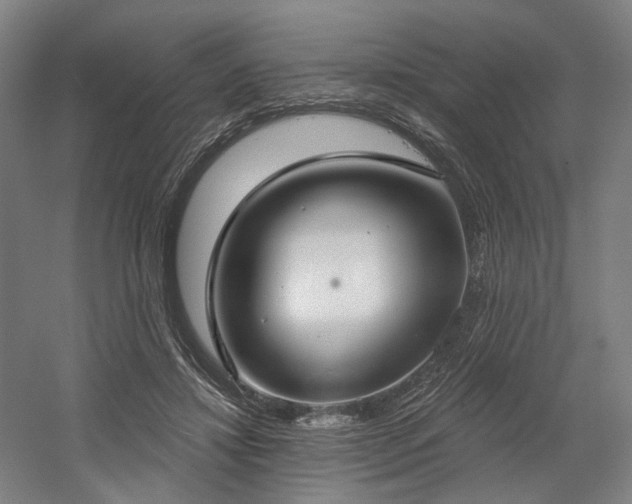 X0000058790452200509301145