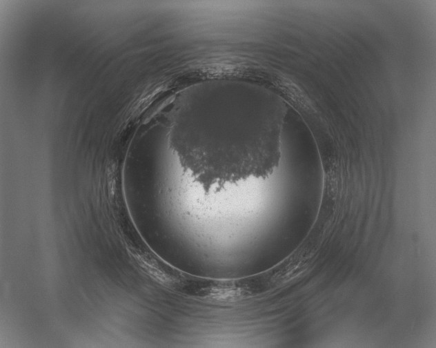 X0000058790458200509301145
