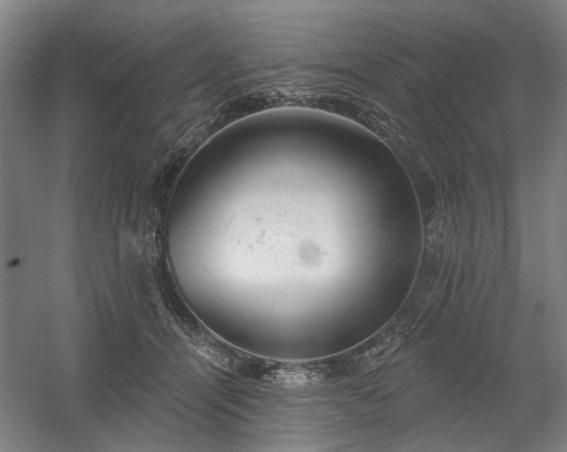 X0000058790464200509301145