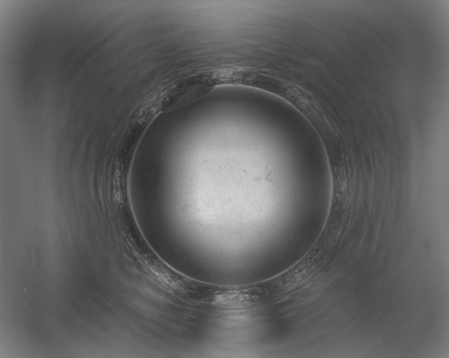 X0000058790470200509301146