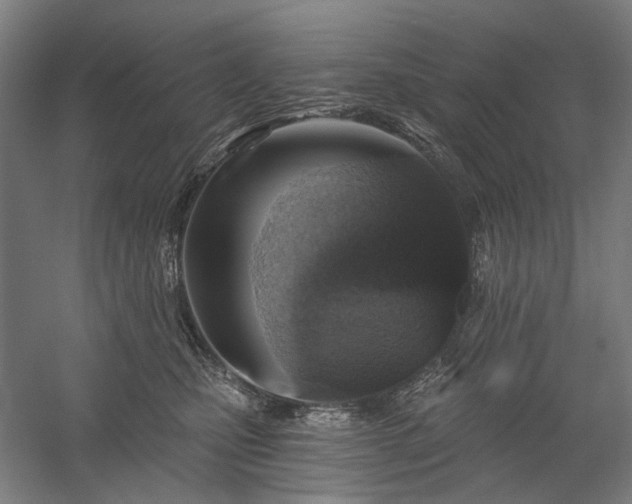 X0000058790471200509301146