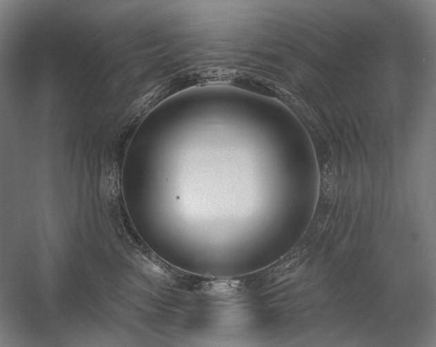 X0000058790474200509301146