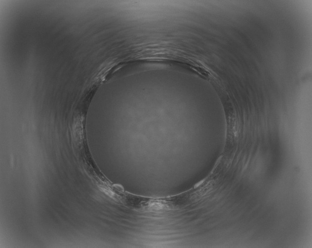 X0000058790475200509301146
