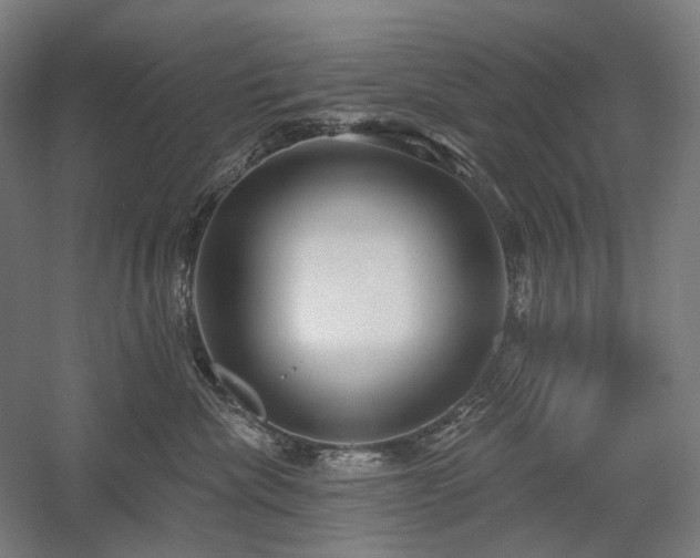 X0000058790476200509301146