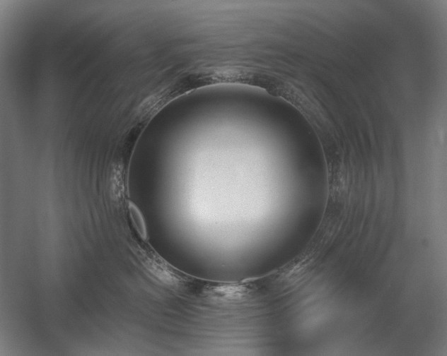 X0000058790478200509301146