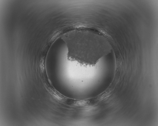 X0000058790479200509301146