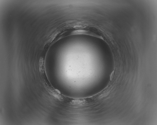 X0000058790480200509301146