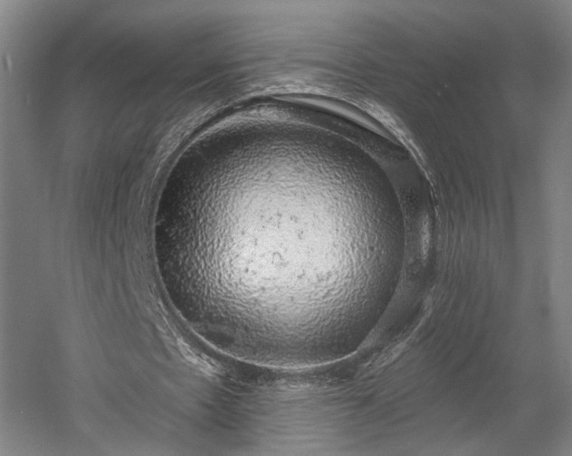 X0000058790481200509301145