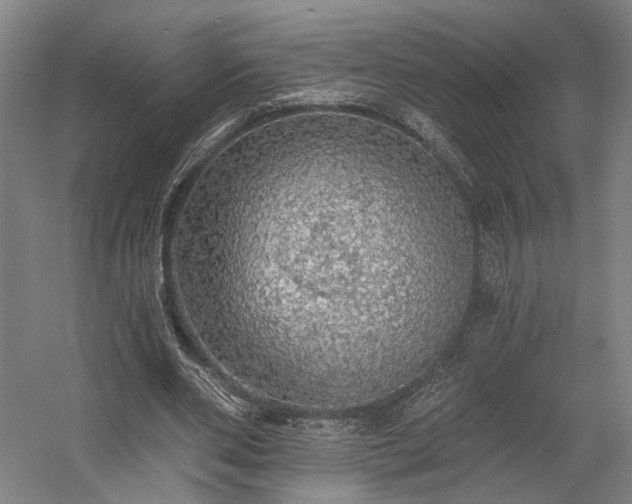 X0000058790486200509301145