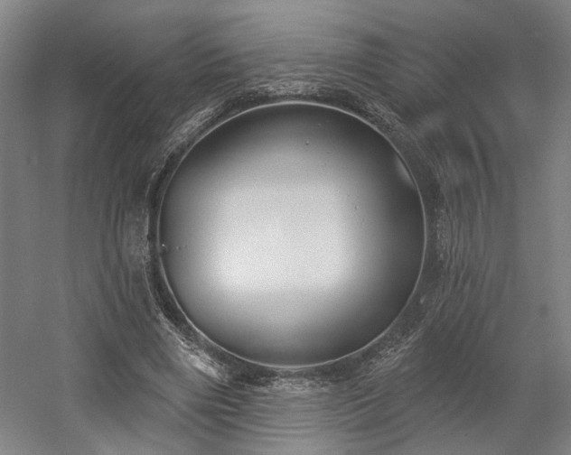 X0000058790490200509301145