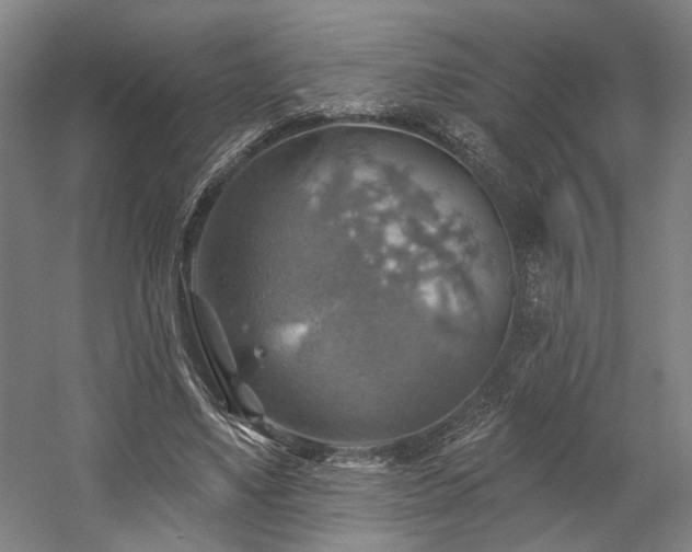 X0000058790491200509301145
