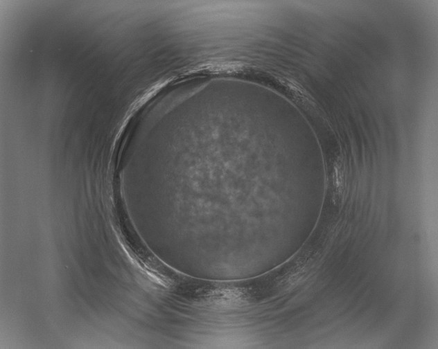 X0000058790492200509301145