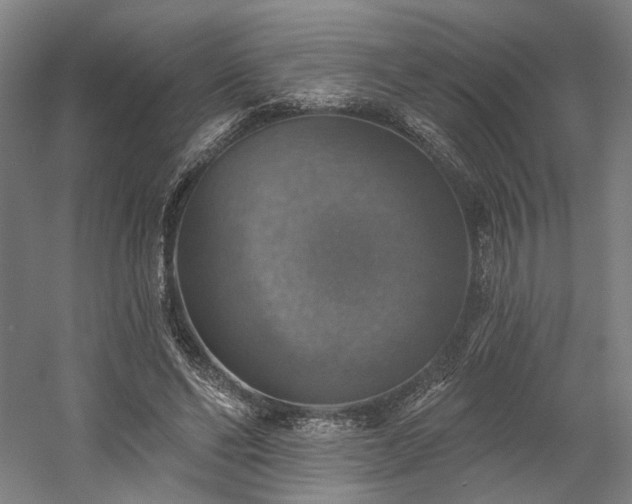 X0000058790494200509301145