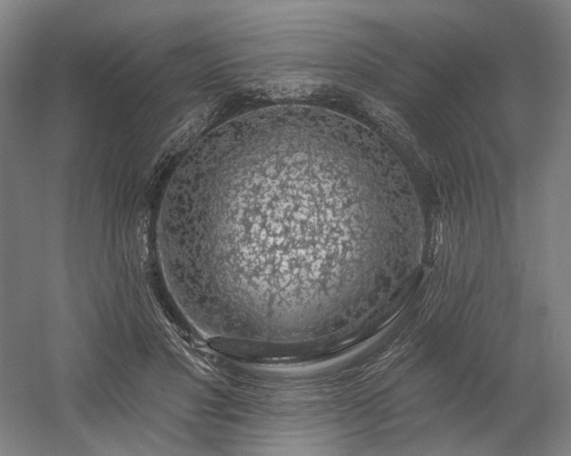 X0000058790501200509301145