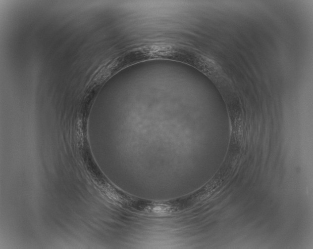 X0000058790506200509301144