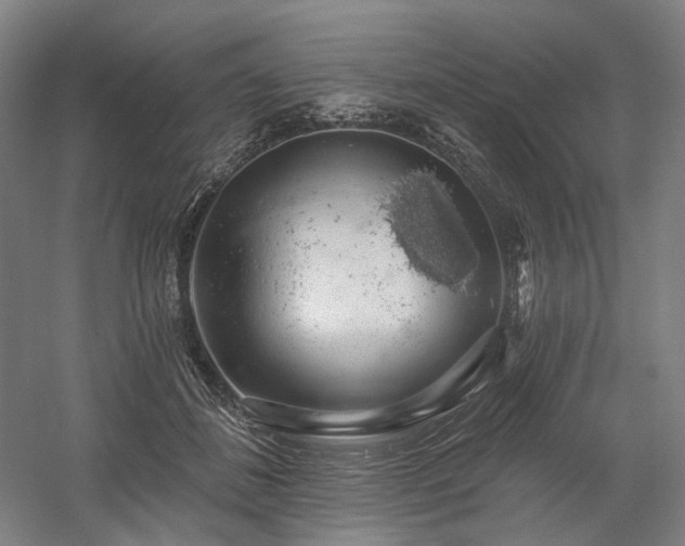 X0000058790508200509301144