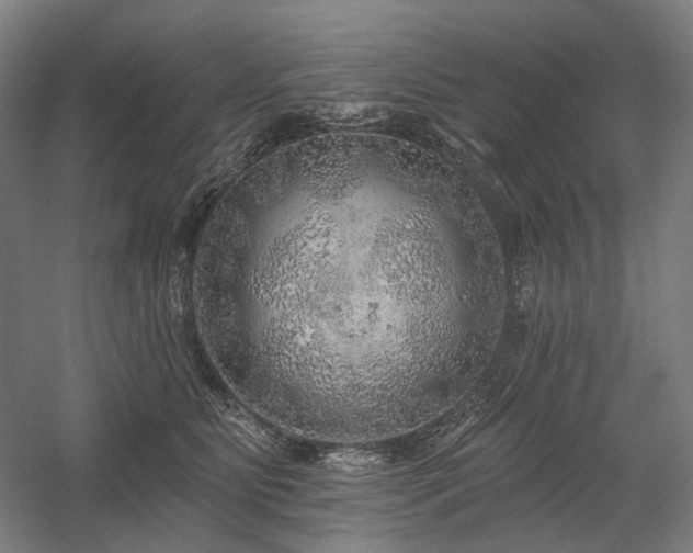 X0000058790515200509301144