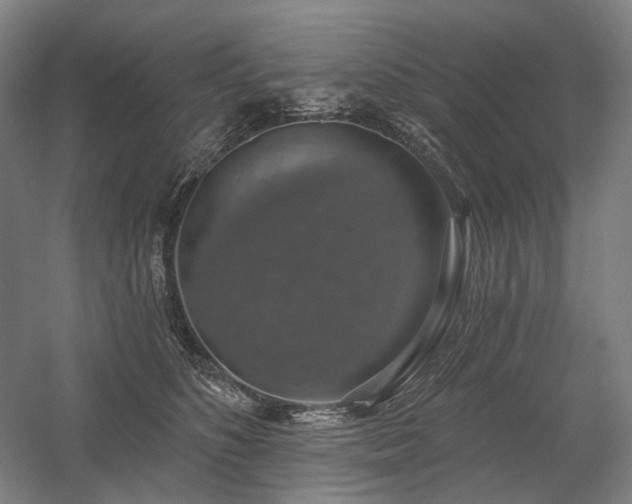 X0000058790516200509301144