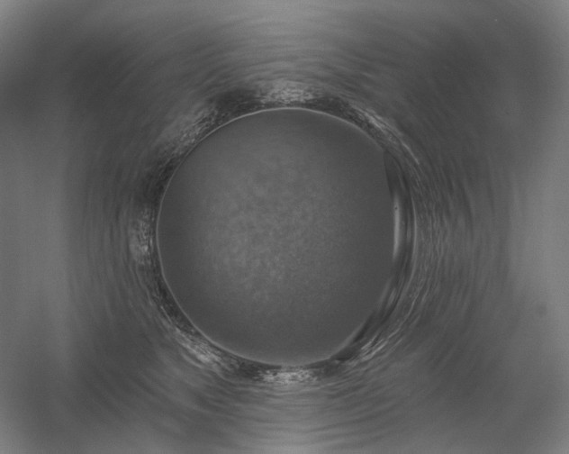 X0000058790517200509301144