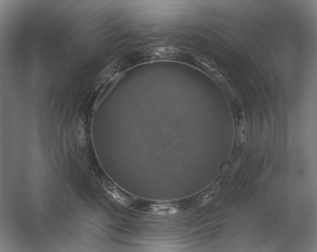 X0000058790520200509301144