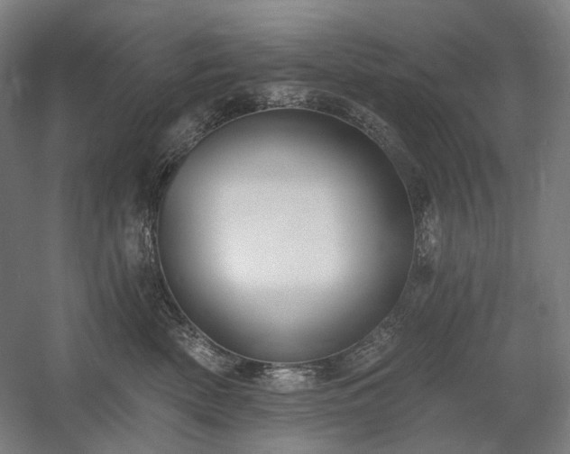 X0000058790522200509301144