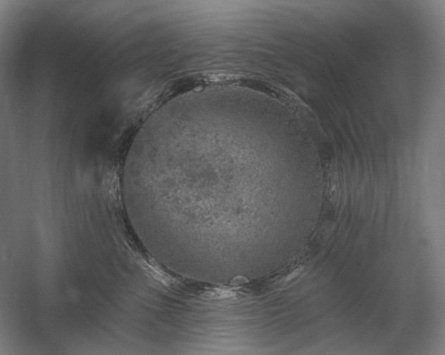 X0000058790523200509301144