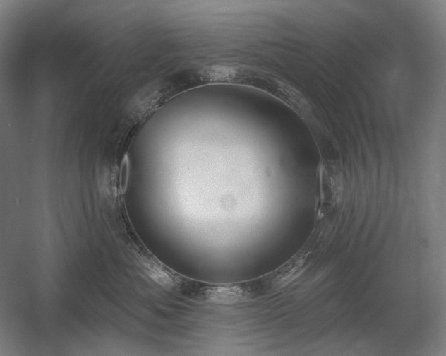 X0000058790525200509301144