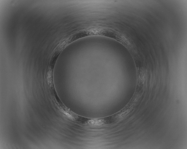 X0000058790526200509301144